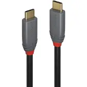 Lindy 5a 1.5 M Usb-c Cable Doré