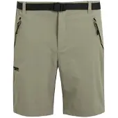 Regatta Short de randonnée Xert III