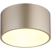 Globo Lampe de plafond Raymond Champagne