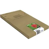 Epson 29XL Cartouches Pack Combiné