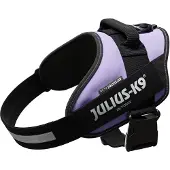 JULIUS K-9 IDC-Power-harnais avec champ de logo, taille 1 violet