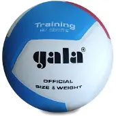 Gala Ballon de volley-ball Pro-line Bv5565s