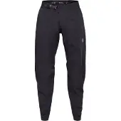 FOX Unisexe, Pantalon de cyclisme, Yth Ranger Water Pant (146, 26, L), Noir