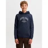 Jack & Jones Denver Logo Hoodie Bleu 14 Years Garçon