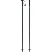Atomic Redster Q Poles Argenté 110 cm