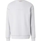 Scotch & Soda Sweat-shirt 'Seasonal Core' gris / gris clair