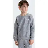 The North Face Survêtement 'Evolution Simple Done' gris chiné