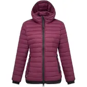 Regatta Haile Jacket Violet 36 Femme