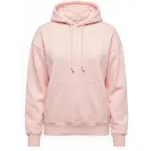 Levi's Sweat-shirt 'Everyday Hoodie Sweatshirt' rose