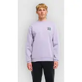 Billabong Foundation Ebysf00188 Sweatshirt Violet 2XL Homme