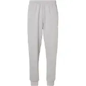 The North Face Pantalon 'EVOLUTION SIMPLE DOME' gris chiné