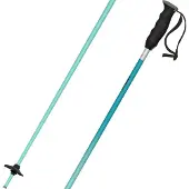 Atomic Redster X Poles Noir 110 cm