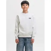 Jack & Jones Junior Sweat 'JJEColton' gris clair