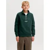 Jack & Jones Junior Sweat 'JJESoho' roseau / blanc