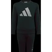 Adidas Essentials Jogger Set Noir 13-14 Years Enfants
