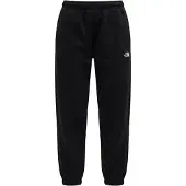 The North Face Pantalon 'EVOLUTION SIMPLE DOME' noir