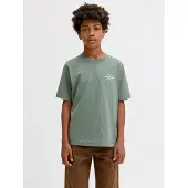 Jack & Jones Kids Junior T-Shirt 'JORNORREBRO' menthe / blanc