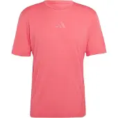 Adidas T-Shirt fonctionnel 'Xperior' framboise