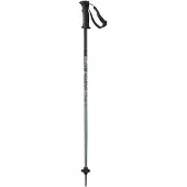 Salomon Kaloo Junior Poles Argenté 70 cm Enfants