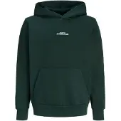Jack & jones Junior Sweat 'JJBAY' sapin / blanc