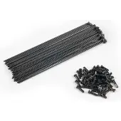 Eclat Double Butted Spokes 40 Units Argenté 182 mm