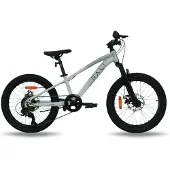 RALI Spro-1 20´´ Tourney Mtb Bike Gris Garçon