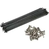 Cinema Bmx Stainless Steel Spokes Argenté 182 mm