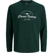 Jack & Jones Junior T-Shirt 'ZANDER' vert foncé / blanc