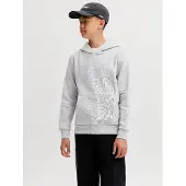 Jack & Jones Kids Junior Sweat 'JJECorp' gris clair