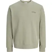Jack & Jones Sweat-shirt 'JJEARCHIVE' vert pastel