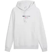 Puma Sweat à Capuche Class Graphic