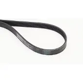 CONTITECH Courroie trapézoïdale à nervures CONTINENTAL 6PK1173