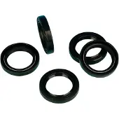 James Gasket Jgi-83162-51dl Oil Seals Kit Argenté