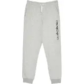 Quiksilver Slim Joggers Gris 16 Years Garçon