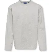 Only & Sons Junior T-Shirt 'OSJFRED' gris chiné
