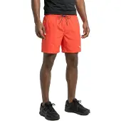 Puma Short De Bain 100000031