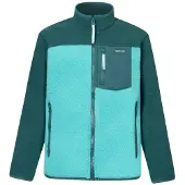 Regatta Frankie Warm Full Zip Fleece Bleu 13 Years Garçon