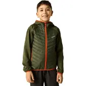 Regatta Andreson Jacket Vert 8 Years Enfants