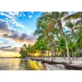 Bluebird Puzzle Puzzle Guadeloupe - Anse Champagne - 500 à 999 pièces