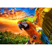 Bluebird Puzzle Parrot - 1000 pièces jouet coloré Puzzle