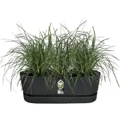 Elho Pot de Plante noir Elho Greenville - Diamètre 52 cm