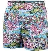 Speedo Short De Bain Printed Leisure 14´´