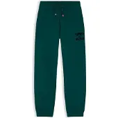Tommy Hilfiger Pantalon 'Brand Love' sapin
