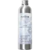 We Are Paradoxx Detox Hydration Conditioner 250ml