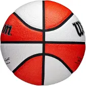 Wilson 6