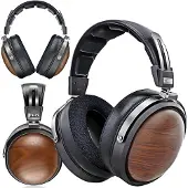 Fiio Casque Avec Micro Ft1