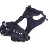 Julius-K9 Mantrailing & Outdoor Harnais pour chiens (XS, Chien, Sport canin, Général)