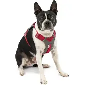 Kurgo Journey Air Harnais, Couleur:rouge, Taille:XS