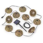 TRIO Guirlande lumineuse extérieure LED solaire, 10x ampoules, télécommande, L 57 cm