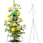 OEM Support de jardin, construction durable, utilisation polyvalente, vert